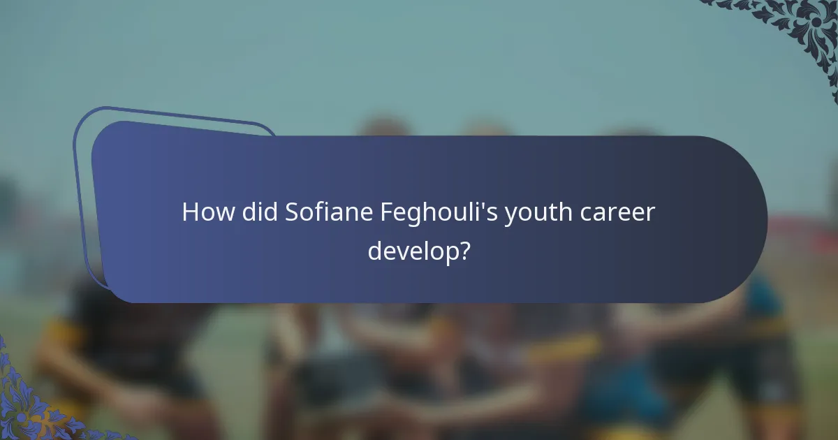 How did Sofiane Feghouli's youth career develop?